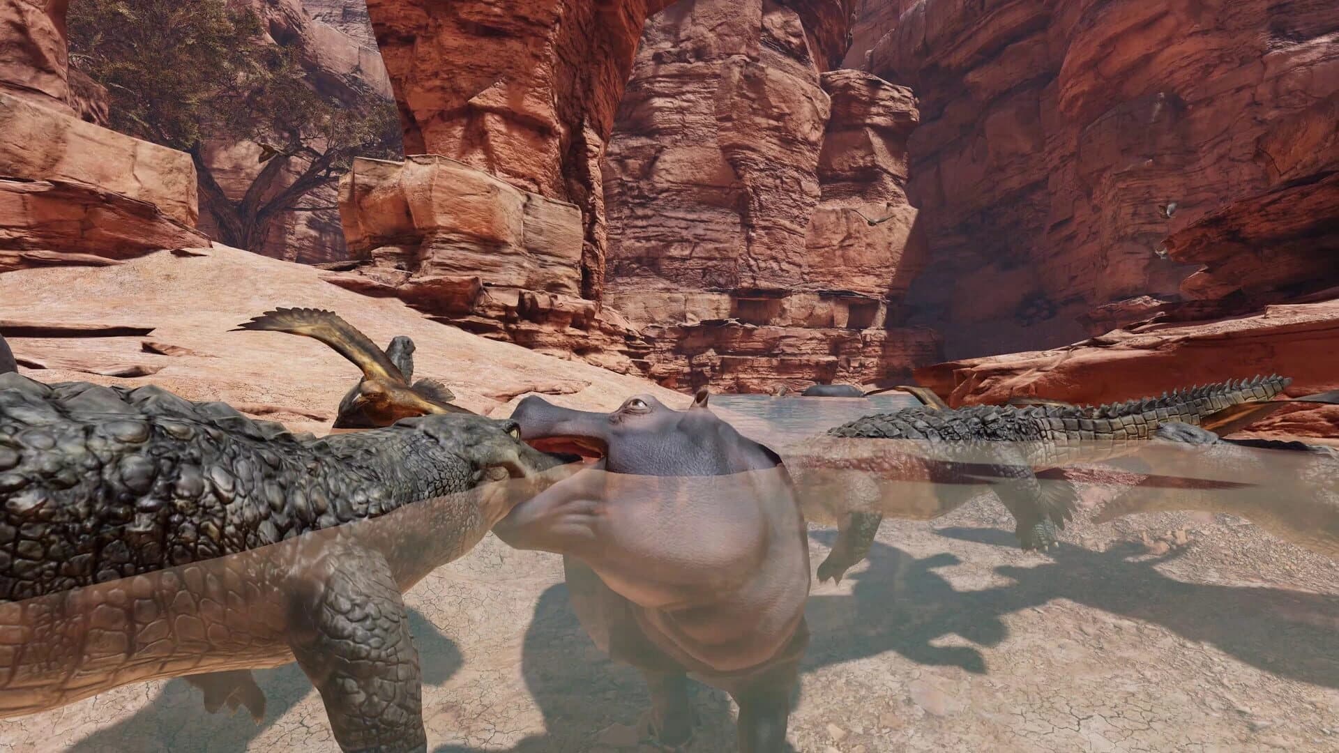 Food Chain screenshot 2