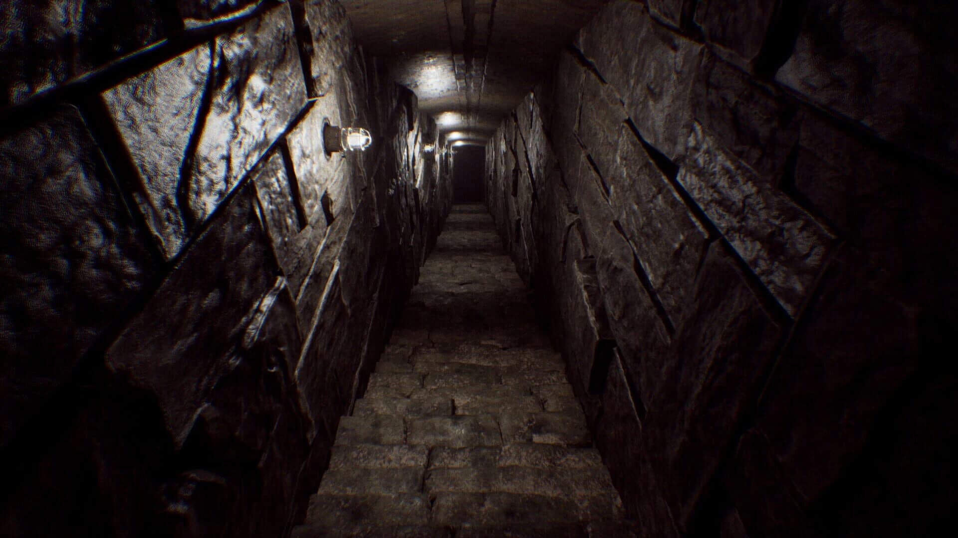 Forester: First Step screenshot 2