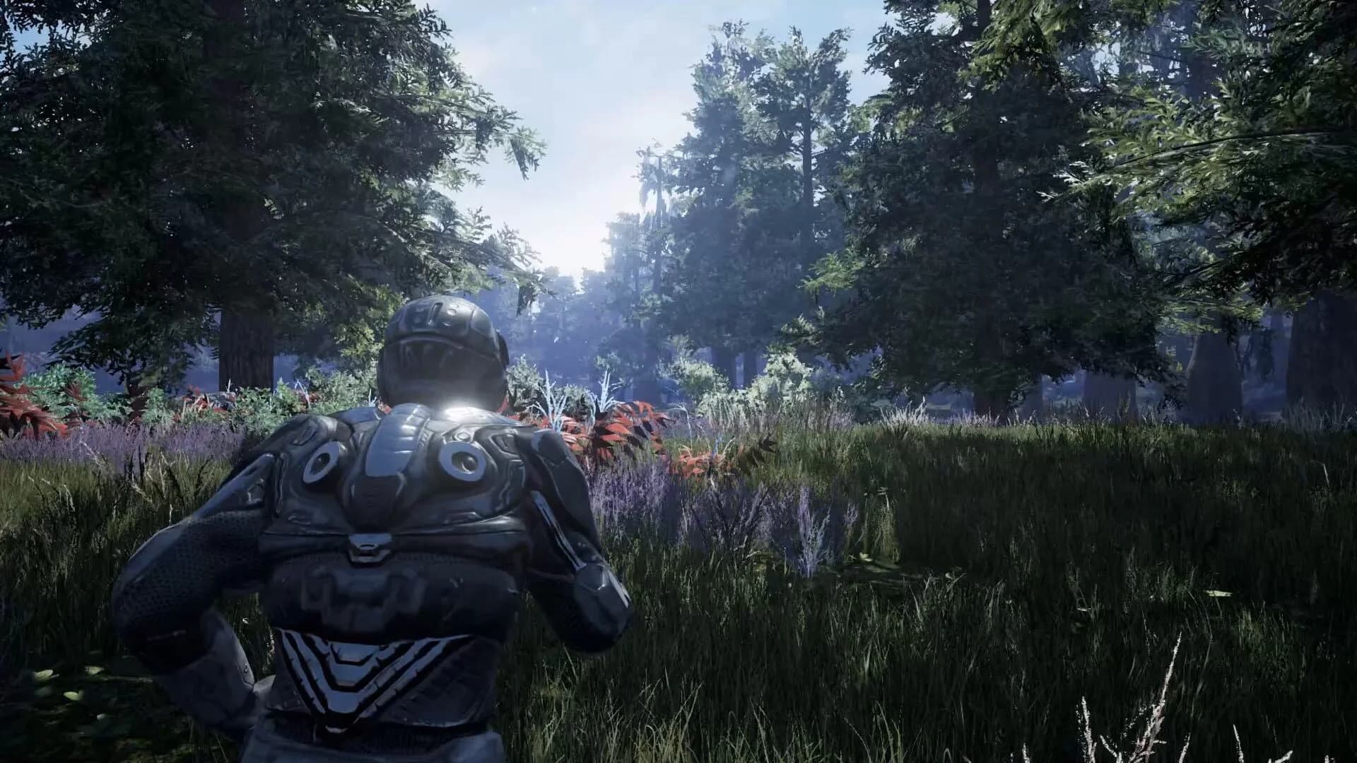 Fragmented screenshot 5