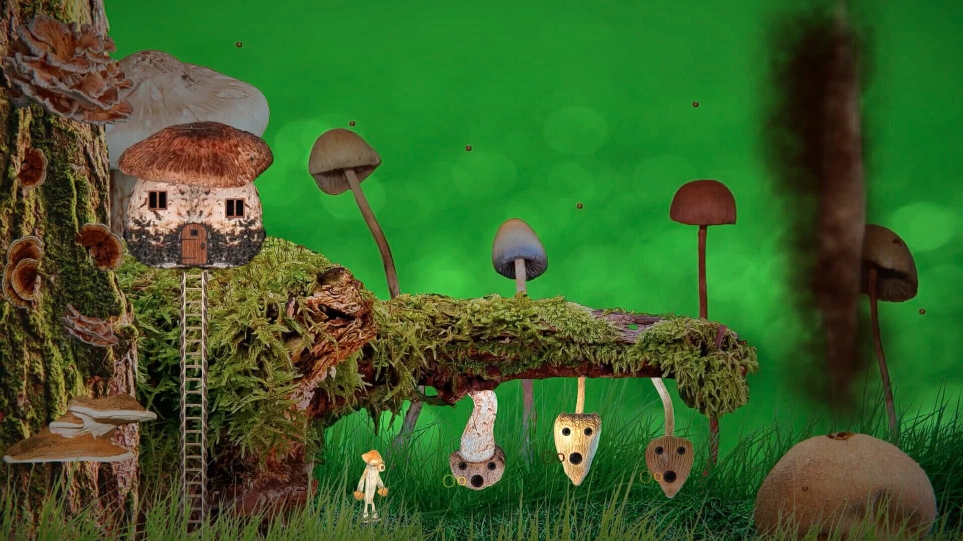 FungEye screenshot 1