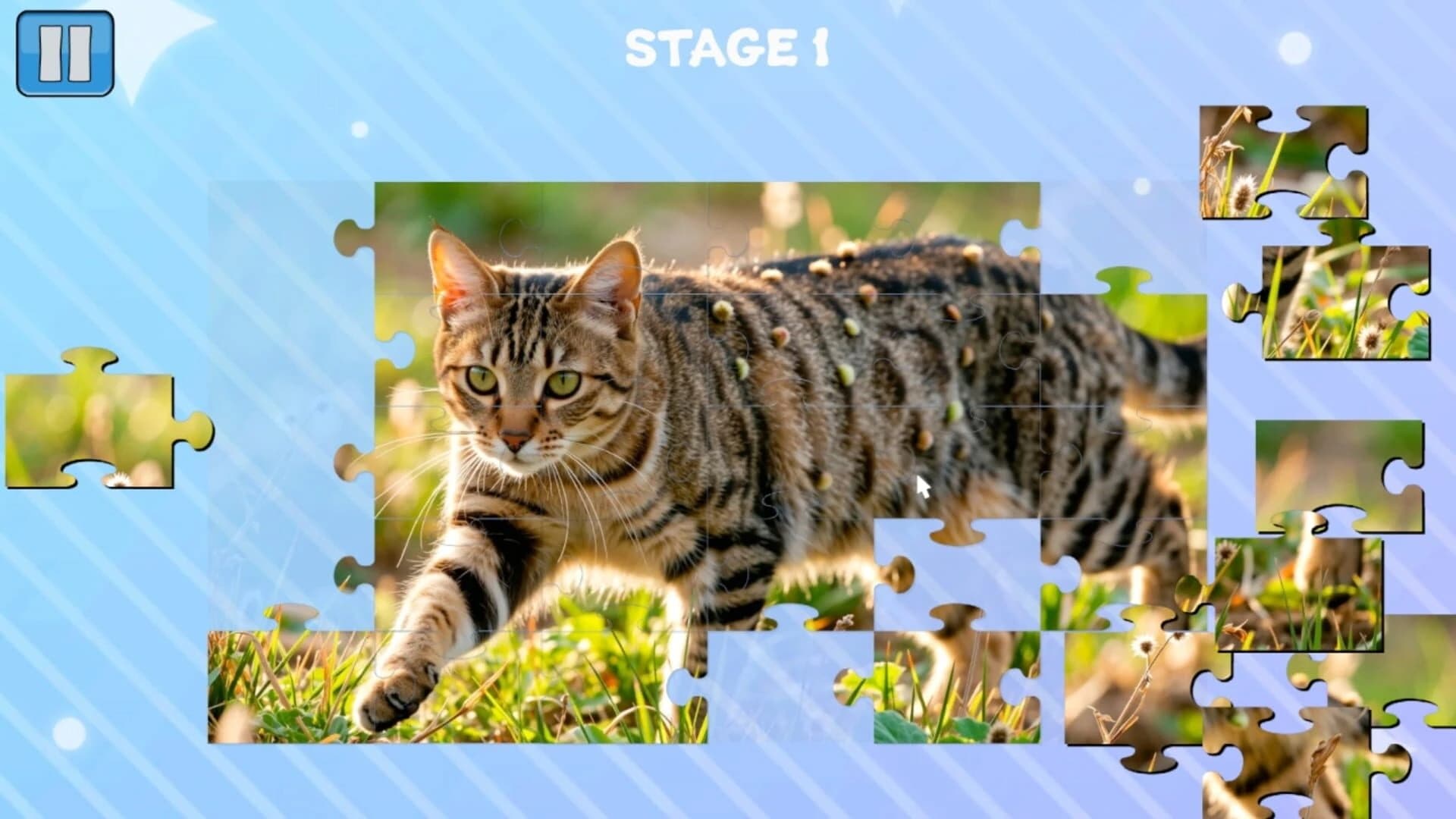 Funny Cats Puzzle screenshot 2
