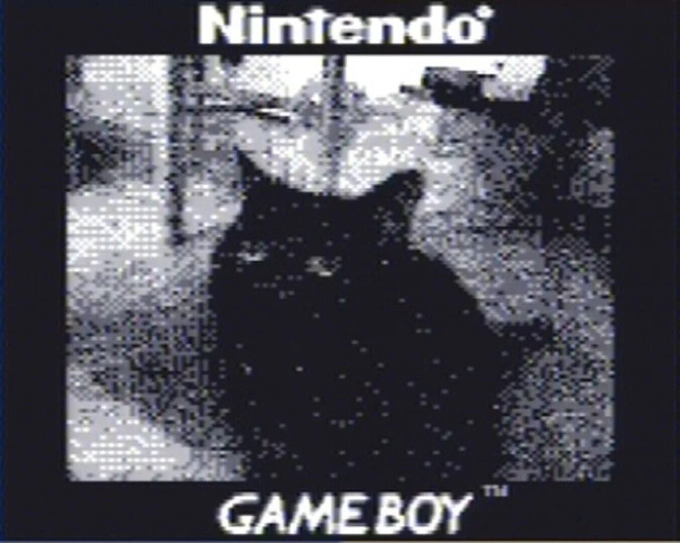 Game Boy Camera screenshot 2