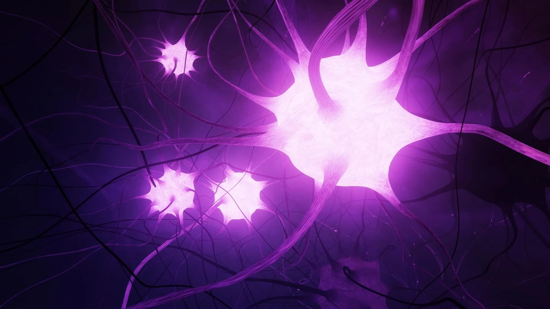 GE Neuro screenshot 4