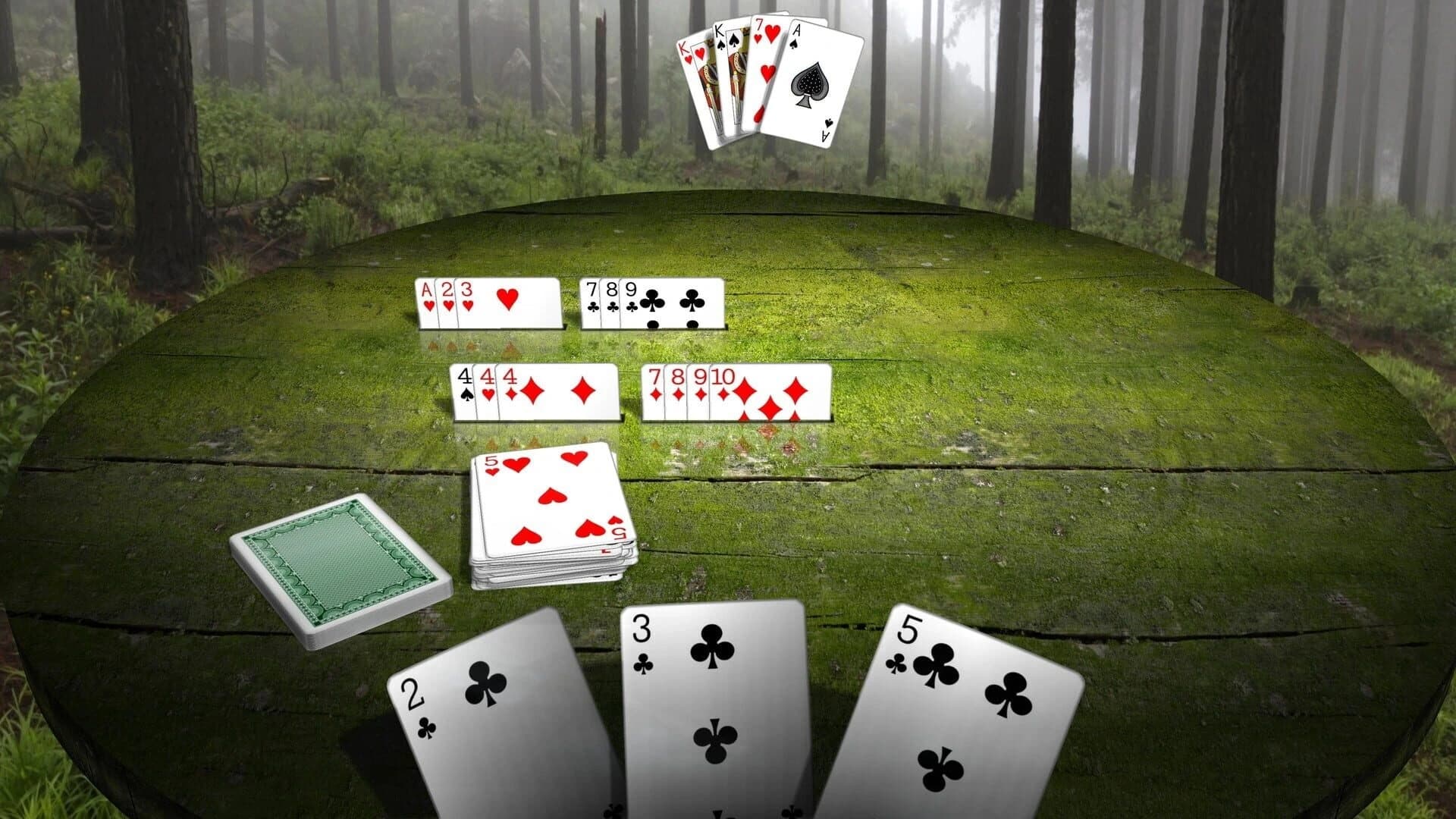 Gin Rummy 3D Premium screenshot 4