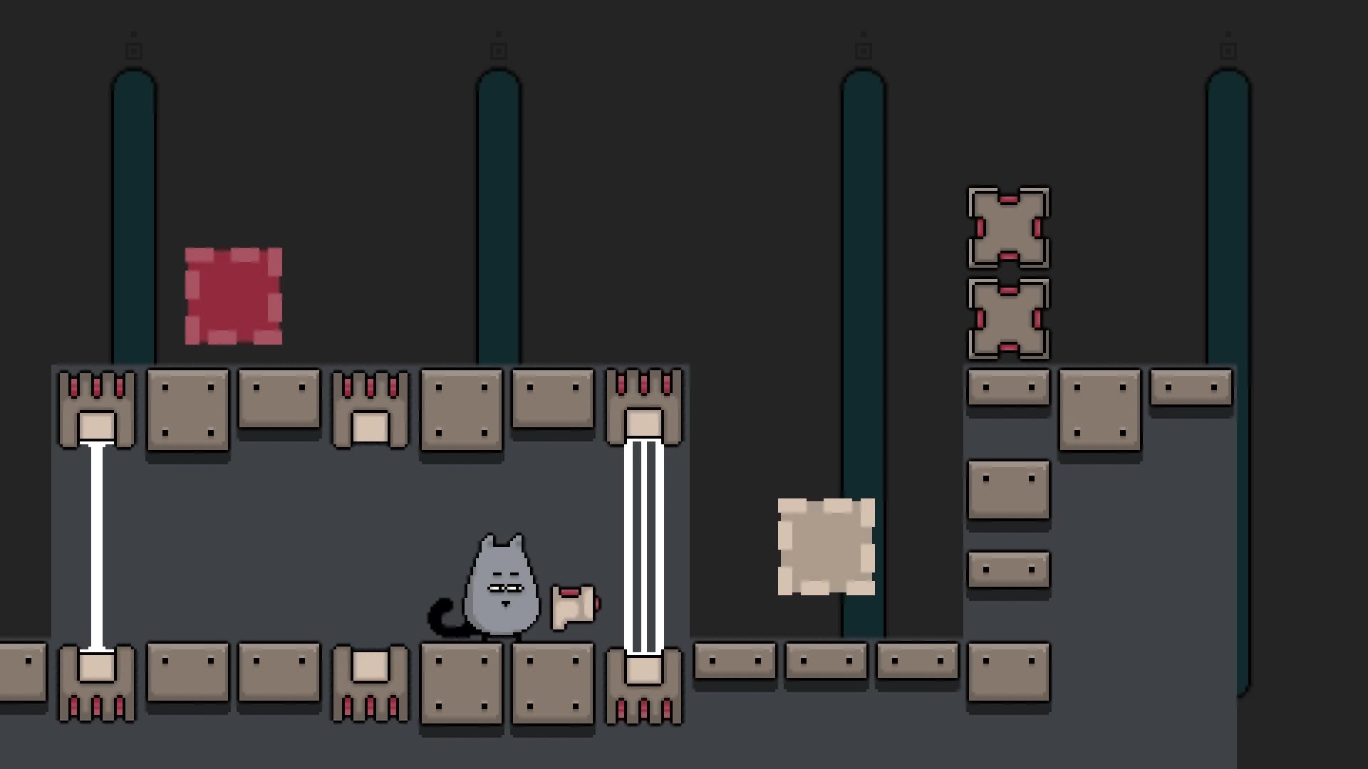 Gray Cat screenshot 3