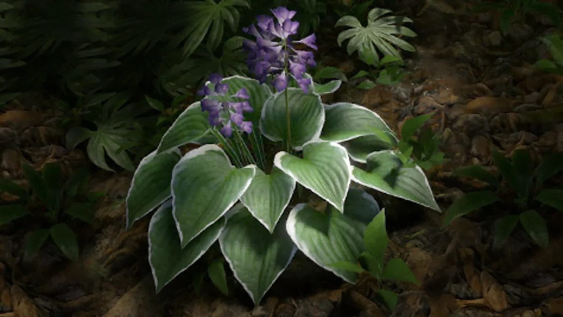 Green Hell VR screenshot 1