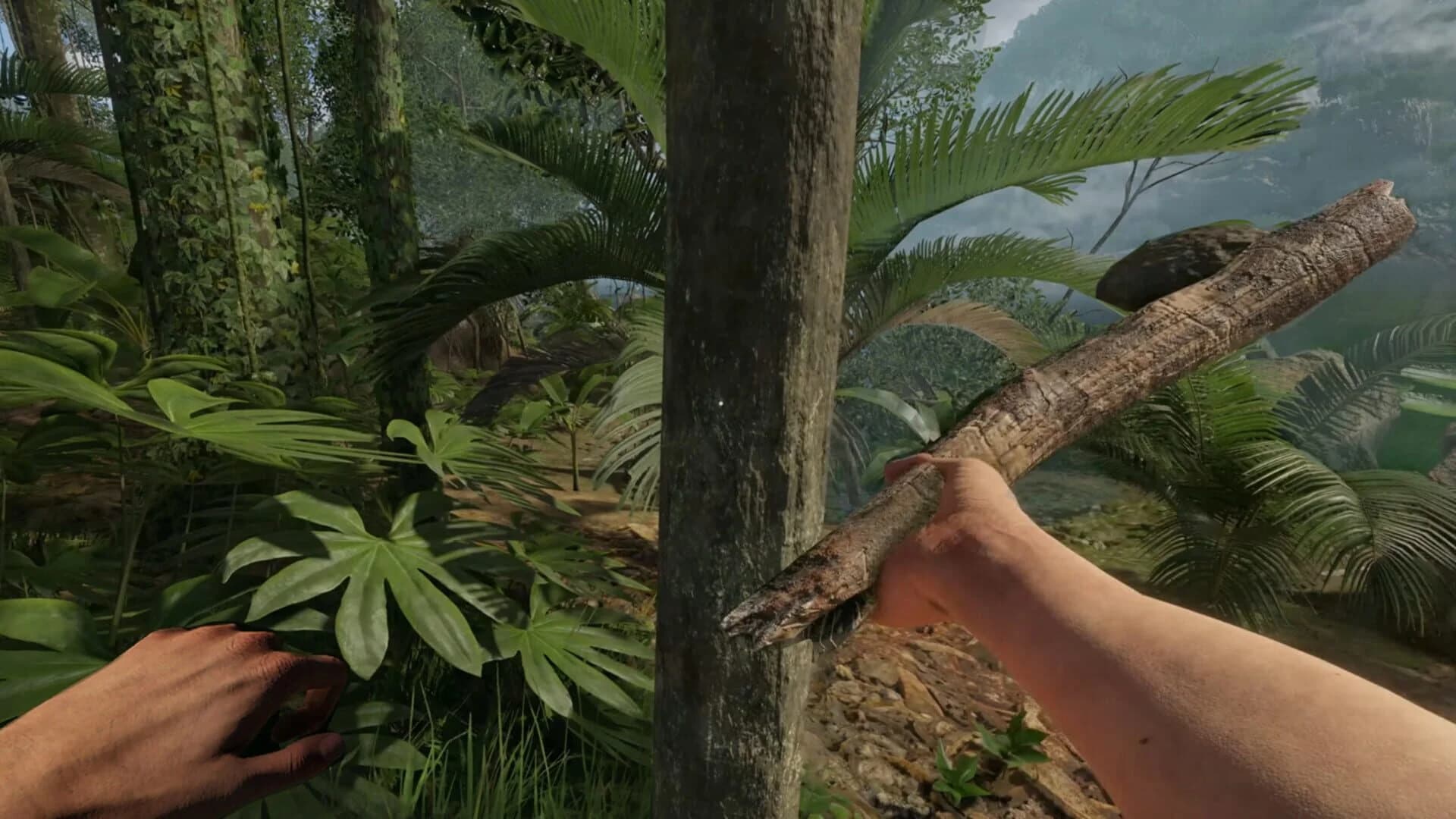 Green Hell VR screenshot 3