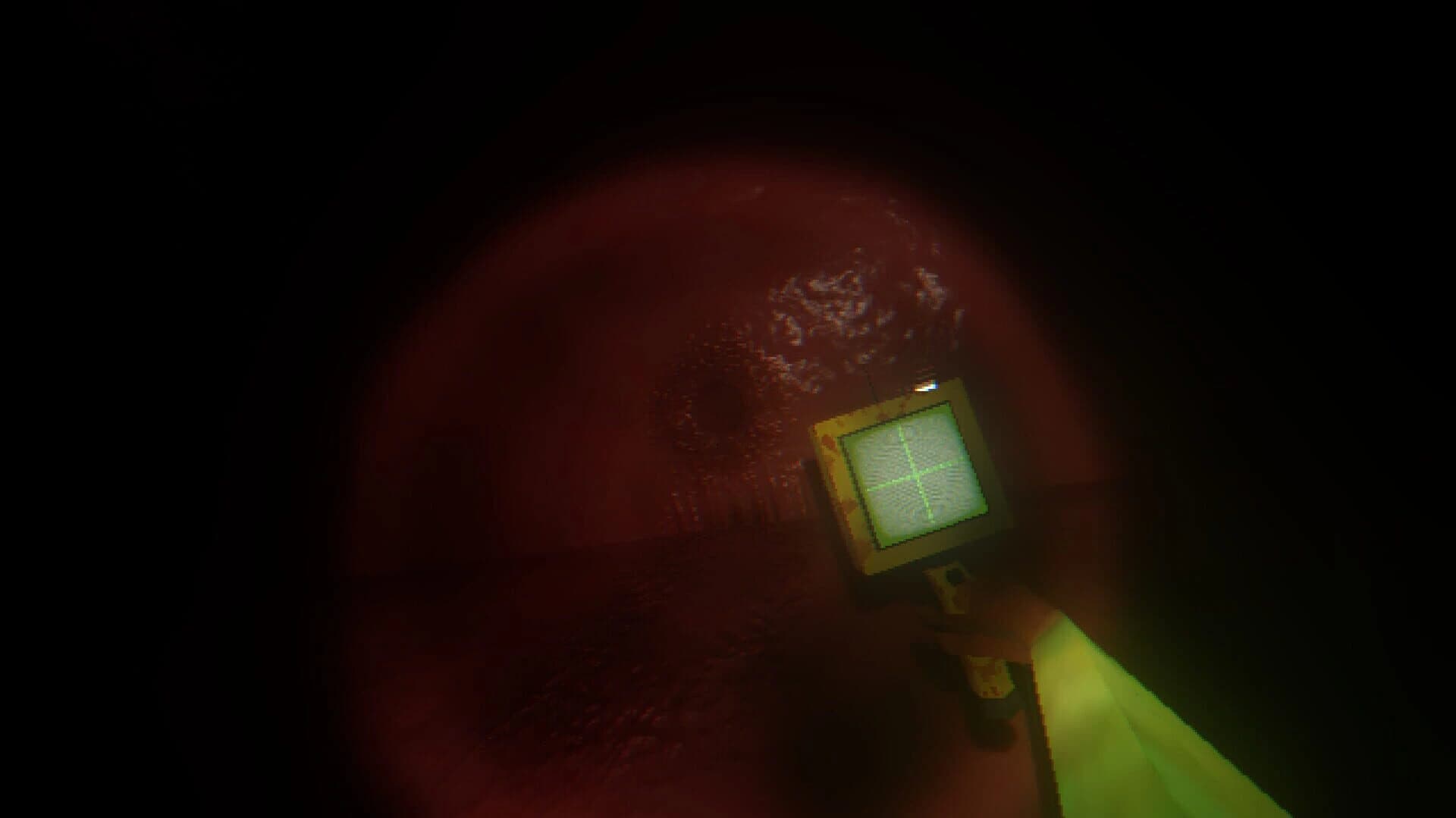 Gullet screenshot 3