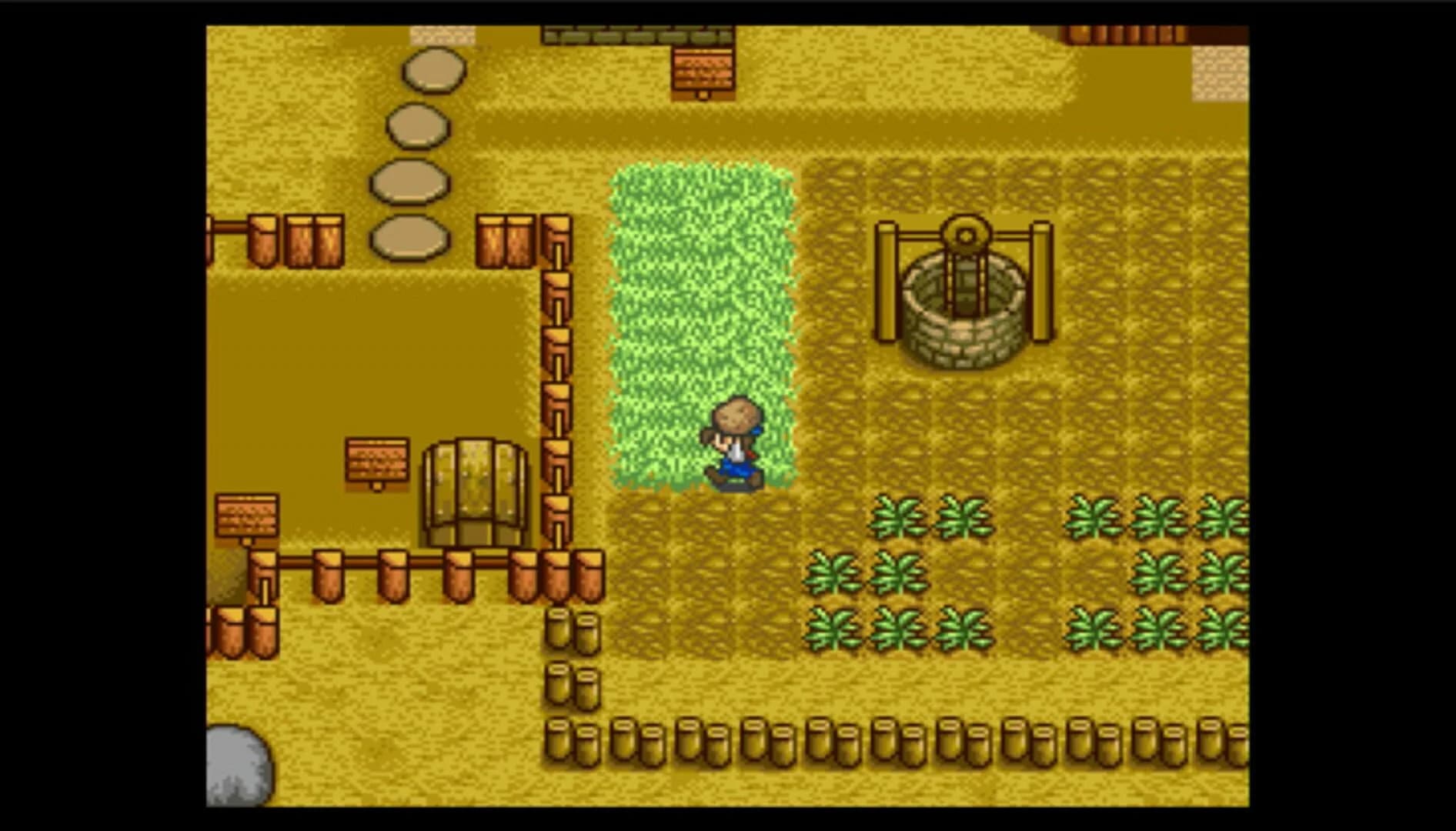 Harvest Moon screenshot 2
