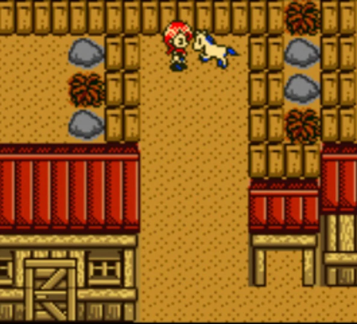 Harvest Moon 2 GBC screenshot 5