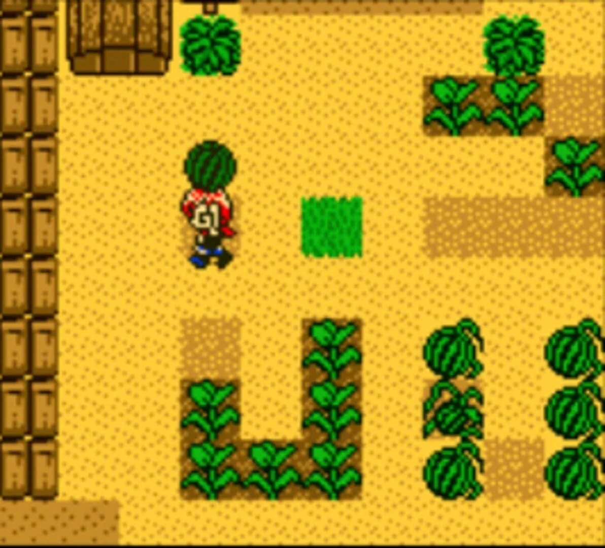 Harvest Moon 2 GBC screenshot 1