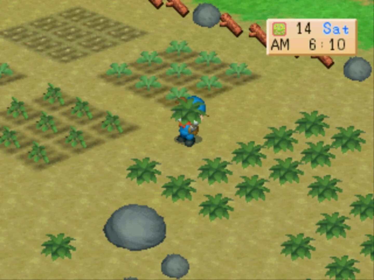 Harvest Moon: Back to Nature screenshot 2