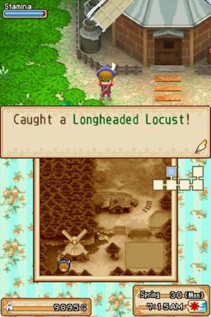 Harvest Moon DS: Grand Bazaar screenshot 3