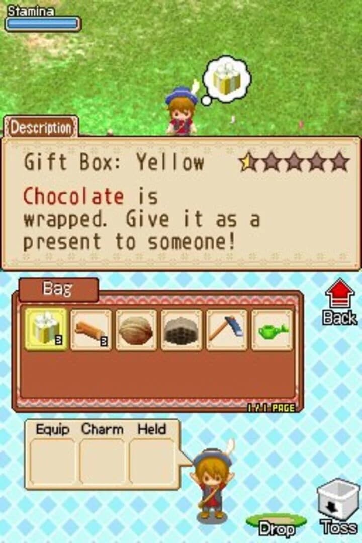 Harvest Moon DS: Grand Bazaar screenshot 2