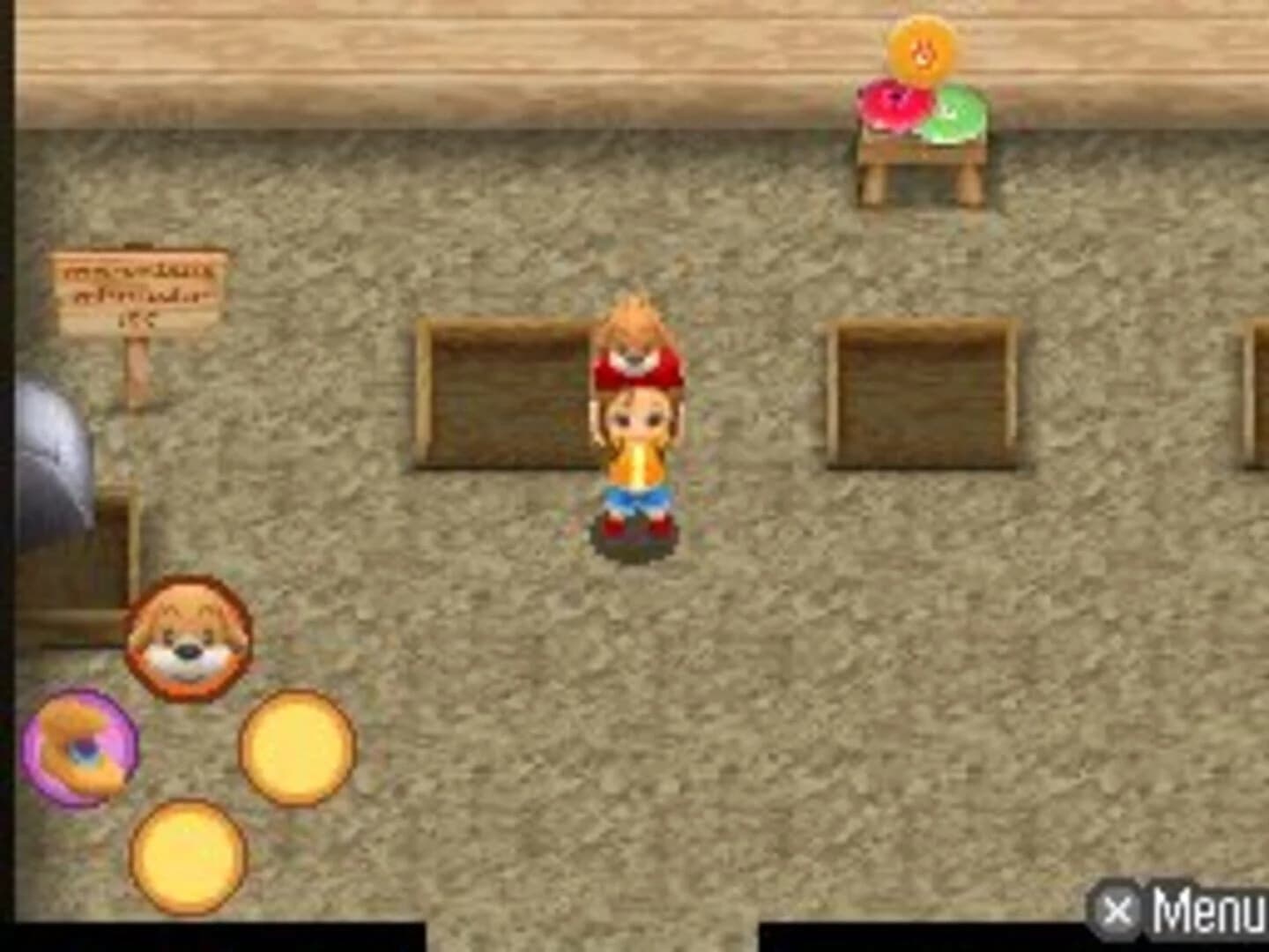 Harvest Moon DS: Sunshine Islands screenshot 4