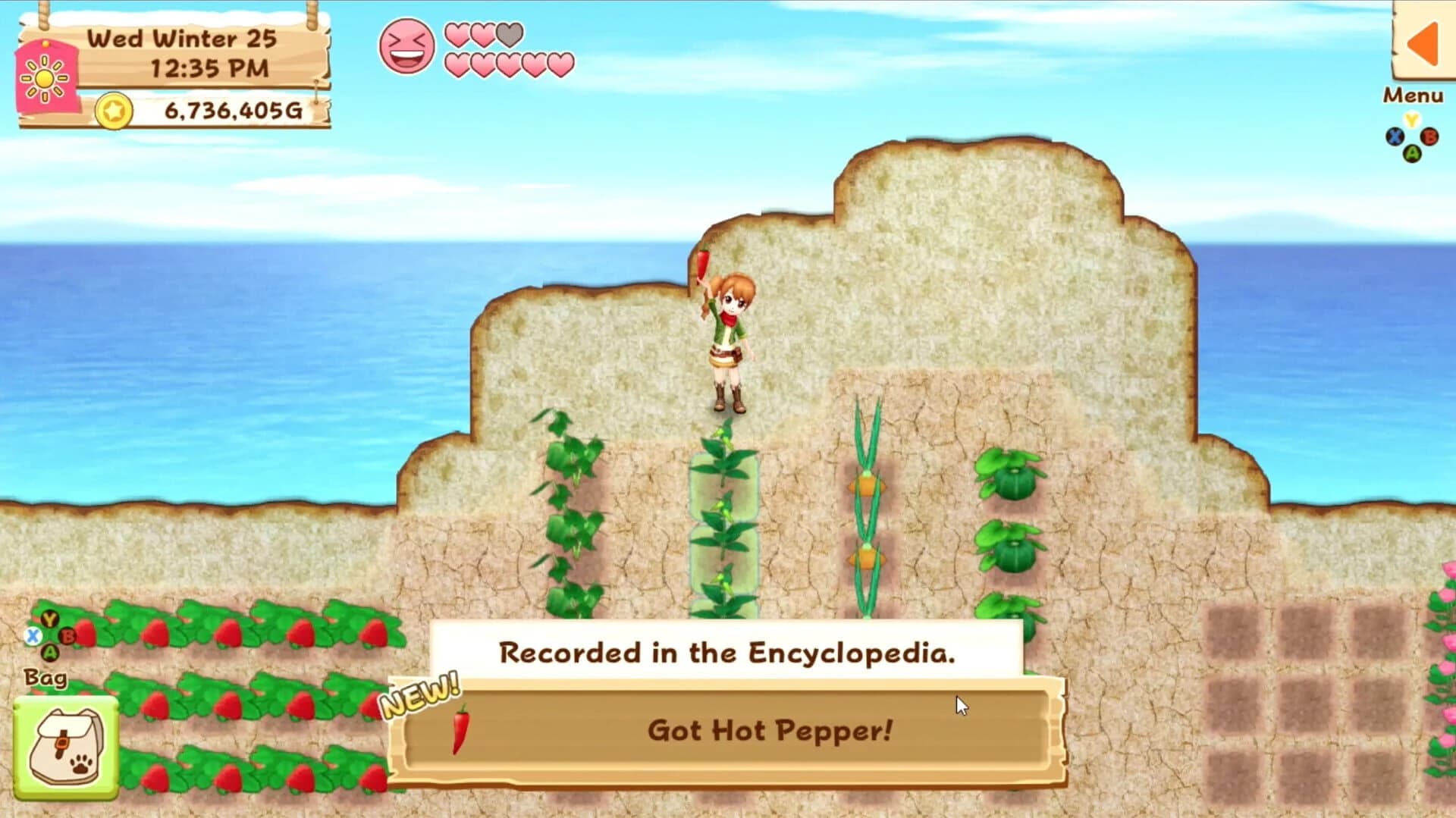 Harvest Moon: Light of Hope screenshot 4