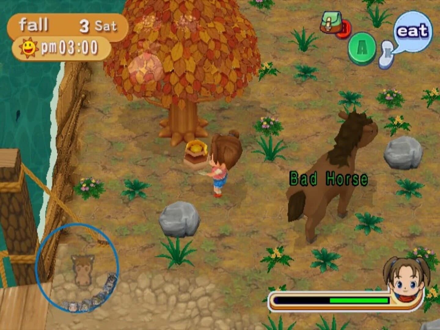 Harvest Moon: Magical Melody screenshot 5
