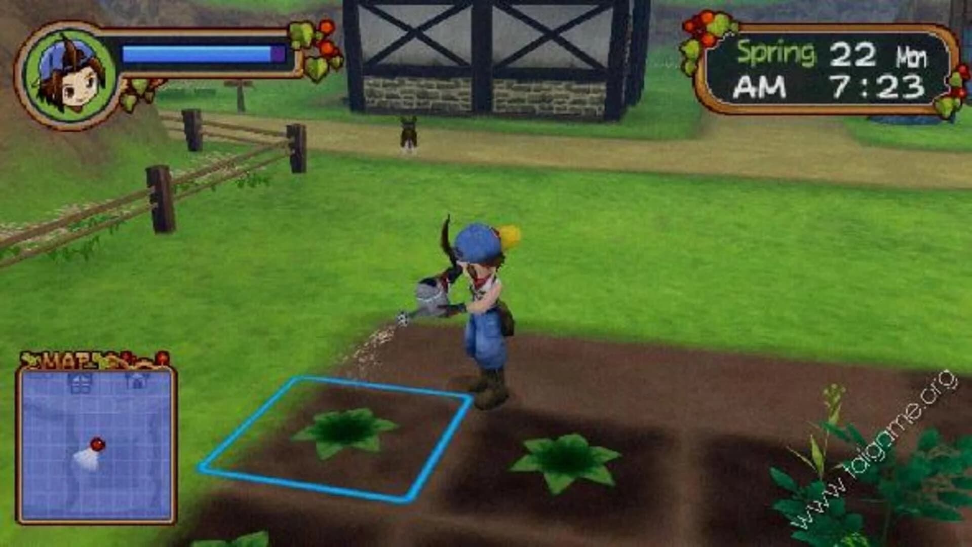 Harvest Moon: Save the Homeland screenshot 3