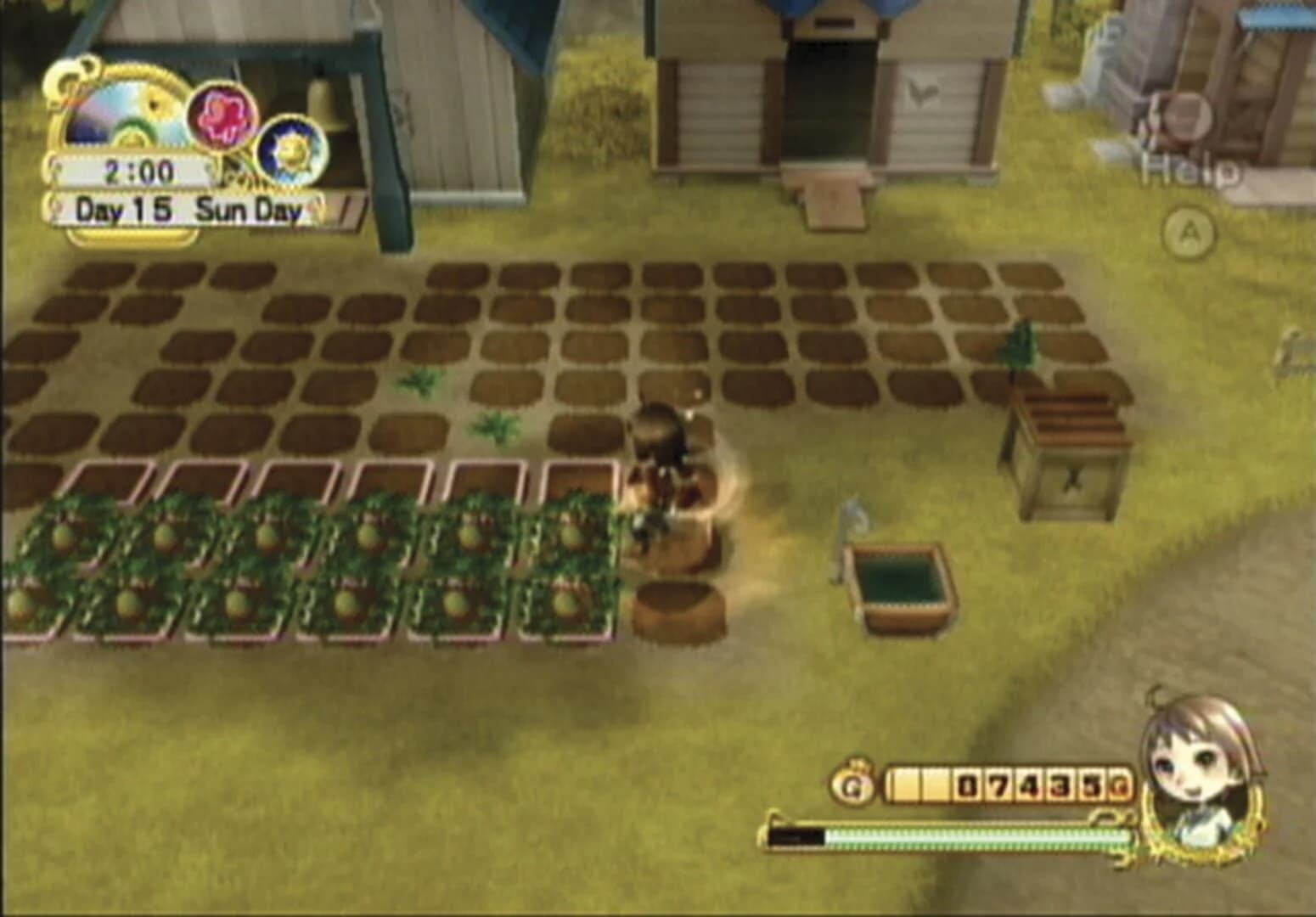 Harvest Moon: Tree of Tranquility screenshot 1