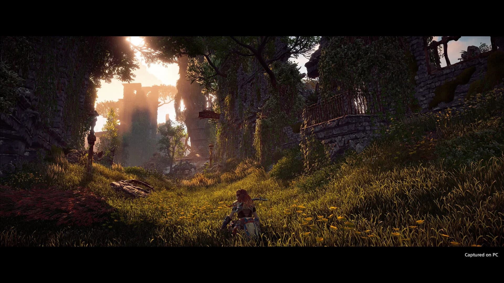 Horizon Zero Dawn: Complete Edition screenshot 2