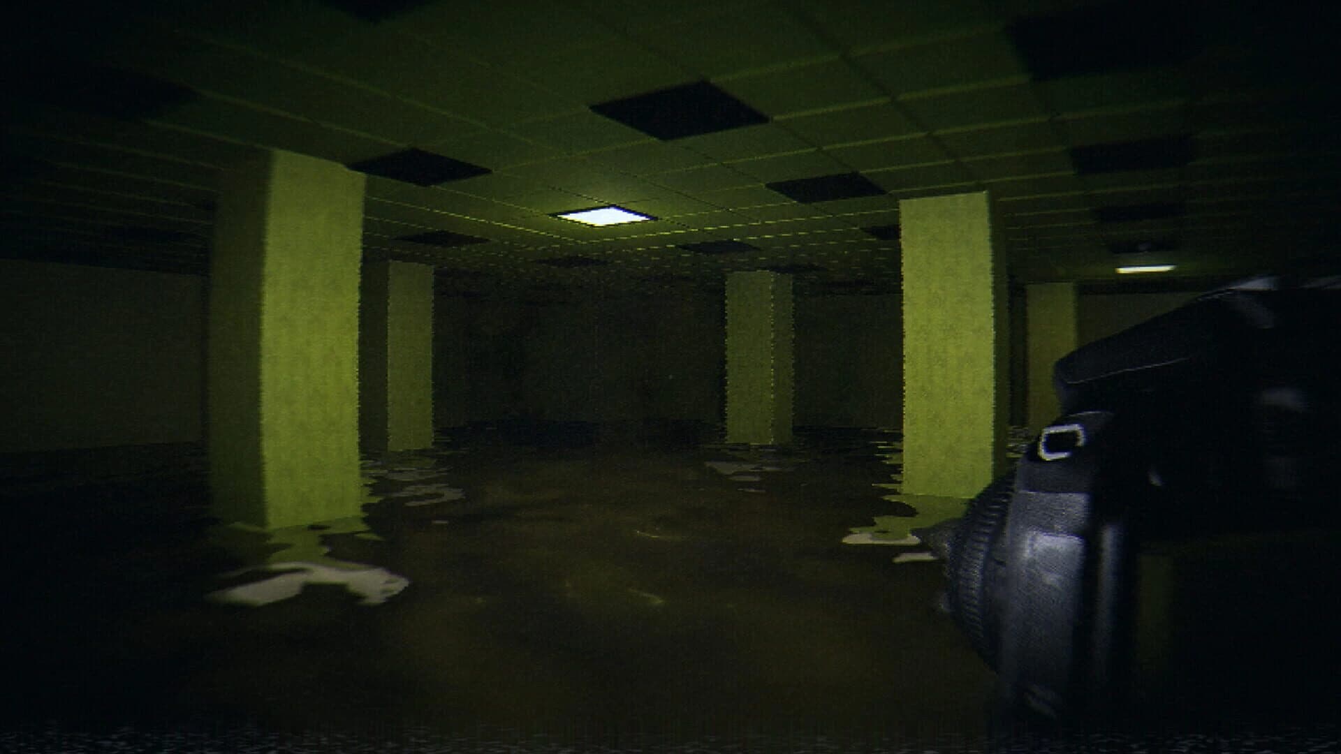HorrorCore: Maze and Pools of Horror screenshot 2