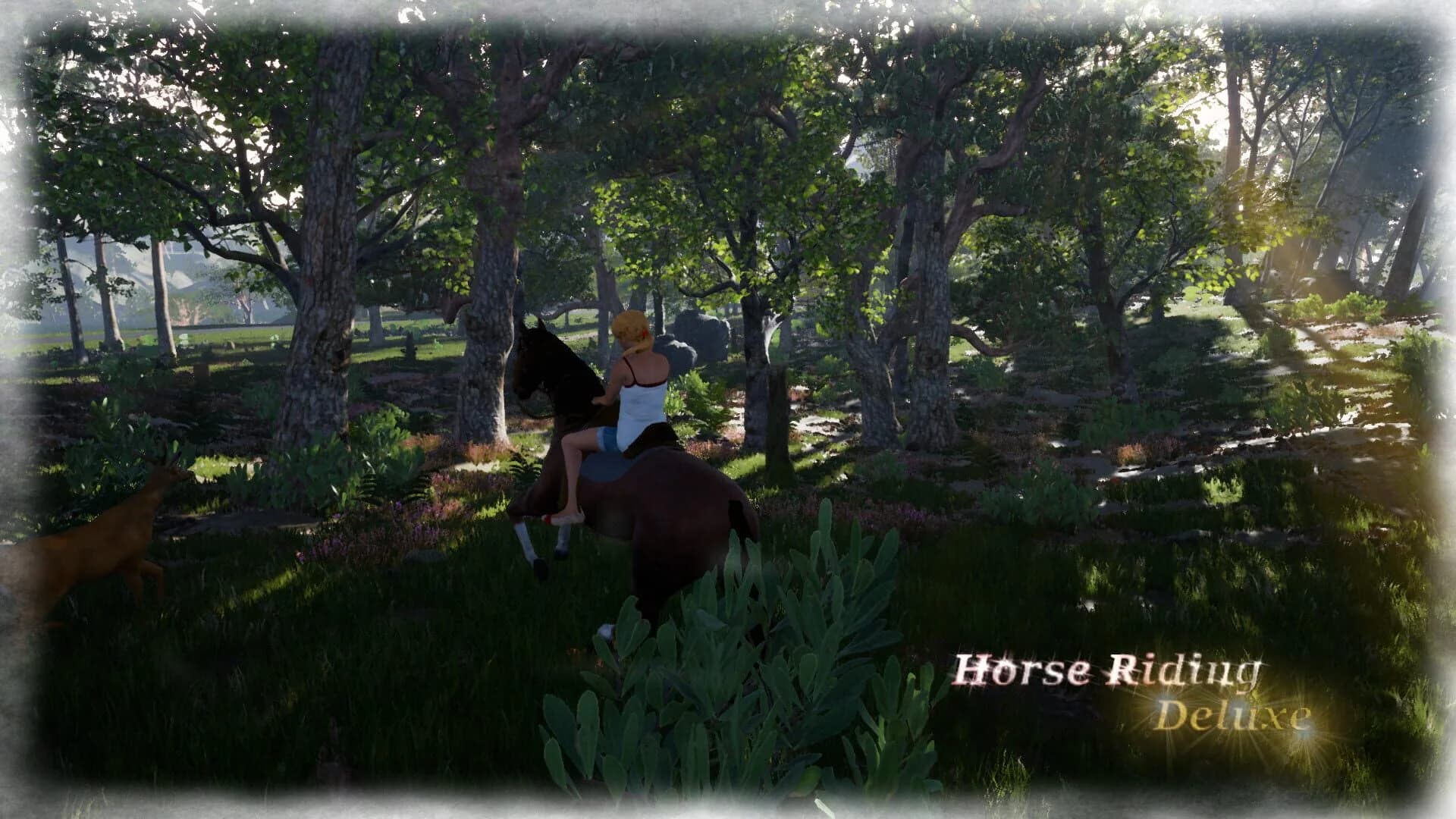 Horse Riding Deluxe screenshot 2