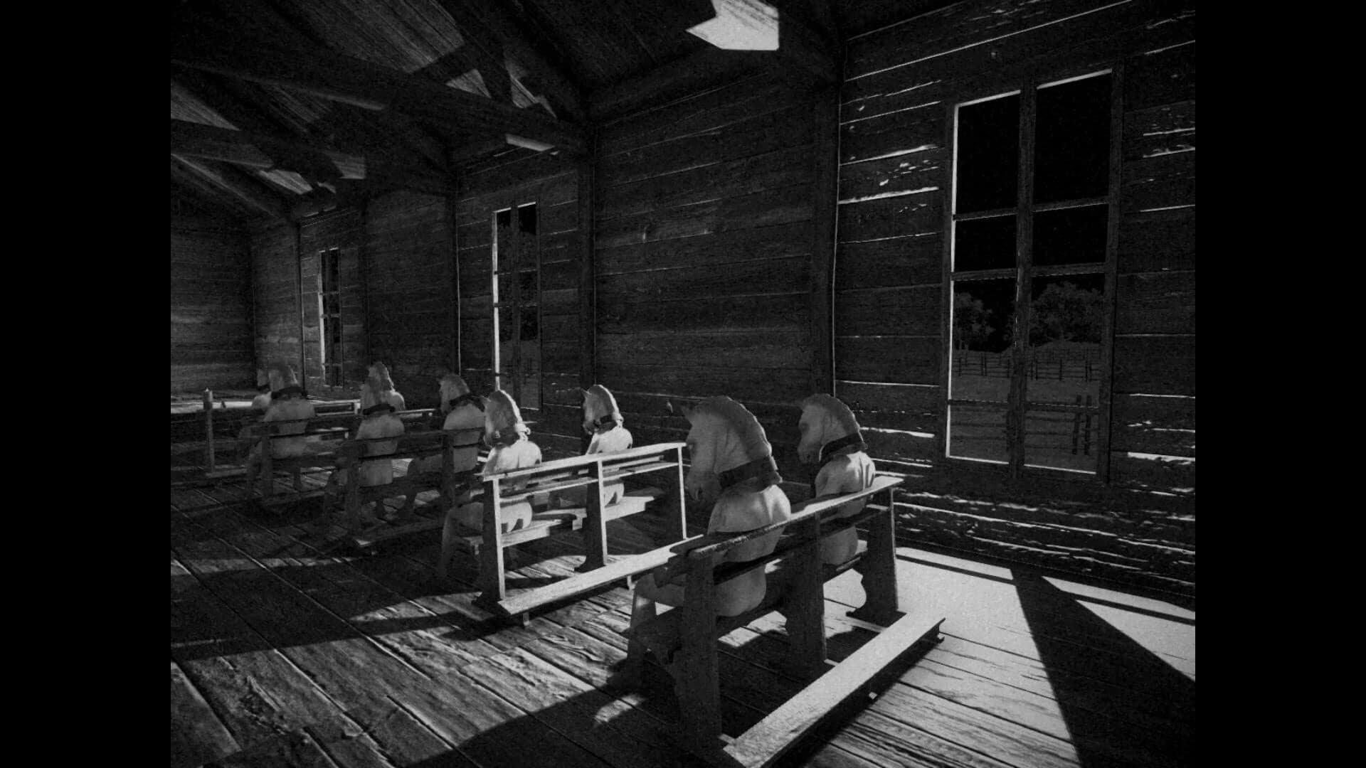 Horses screenshot 4