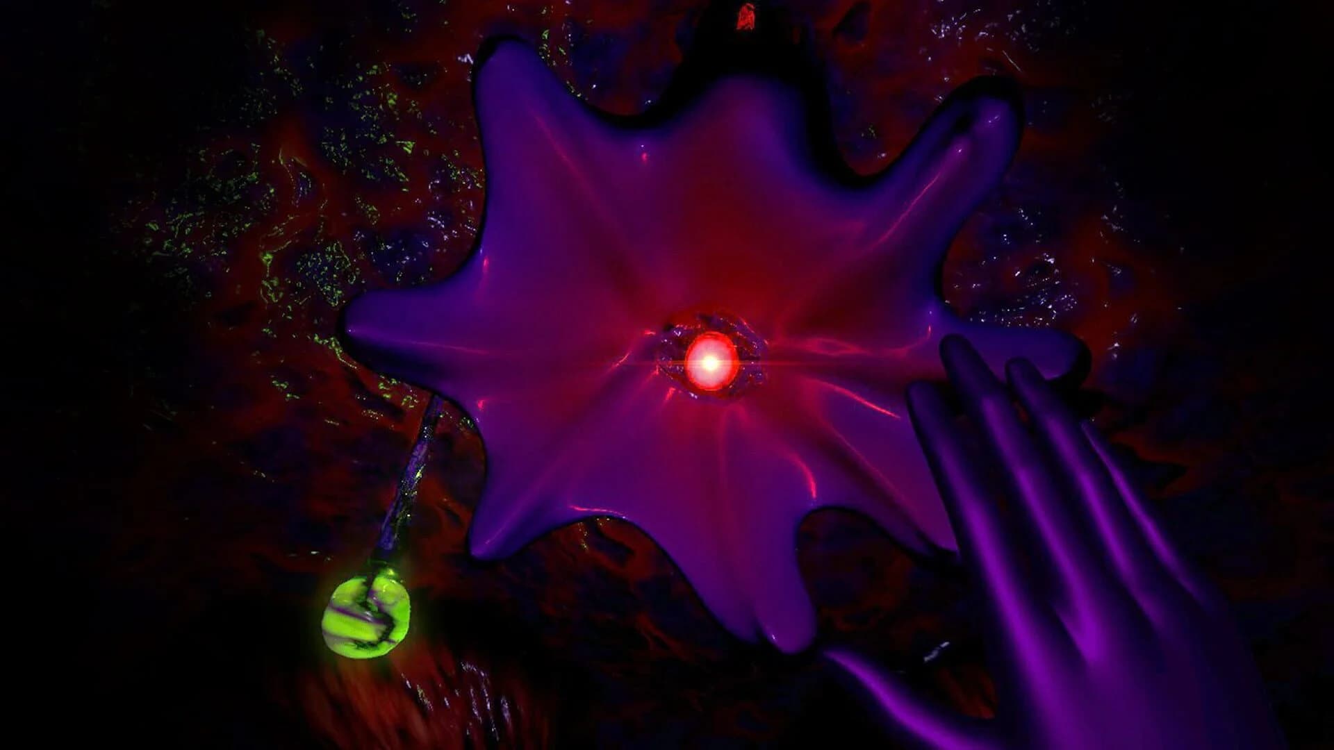 Host screenshot 4