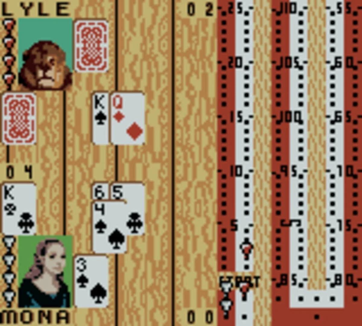 Hoyle Card Games screenshot 4