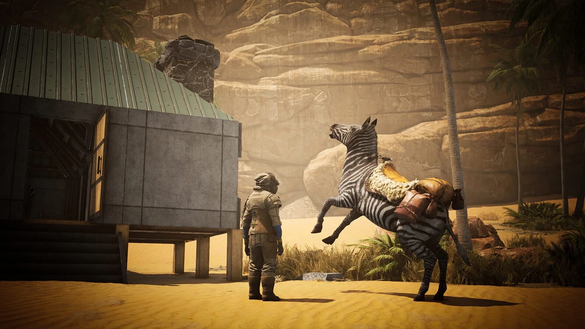 Icarus: Zebra Rescue Mission screenshot 1