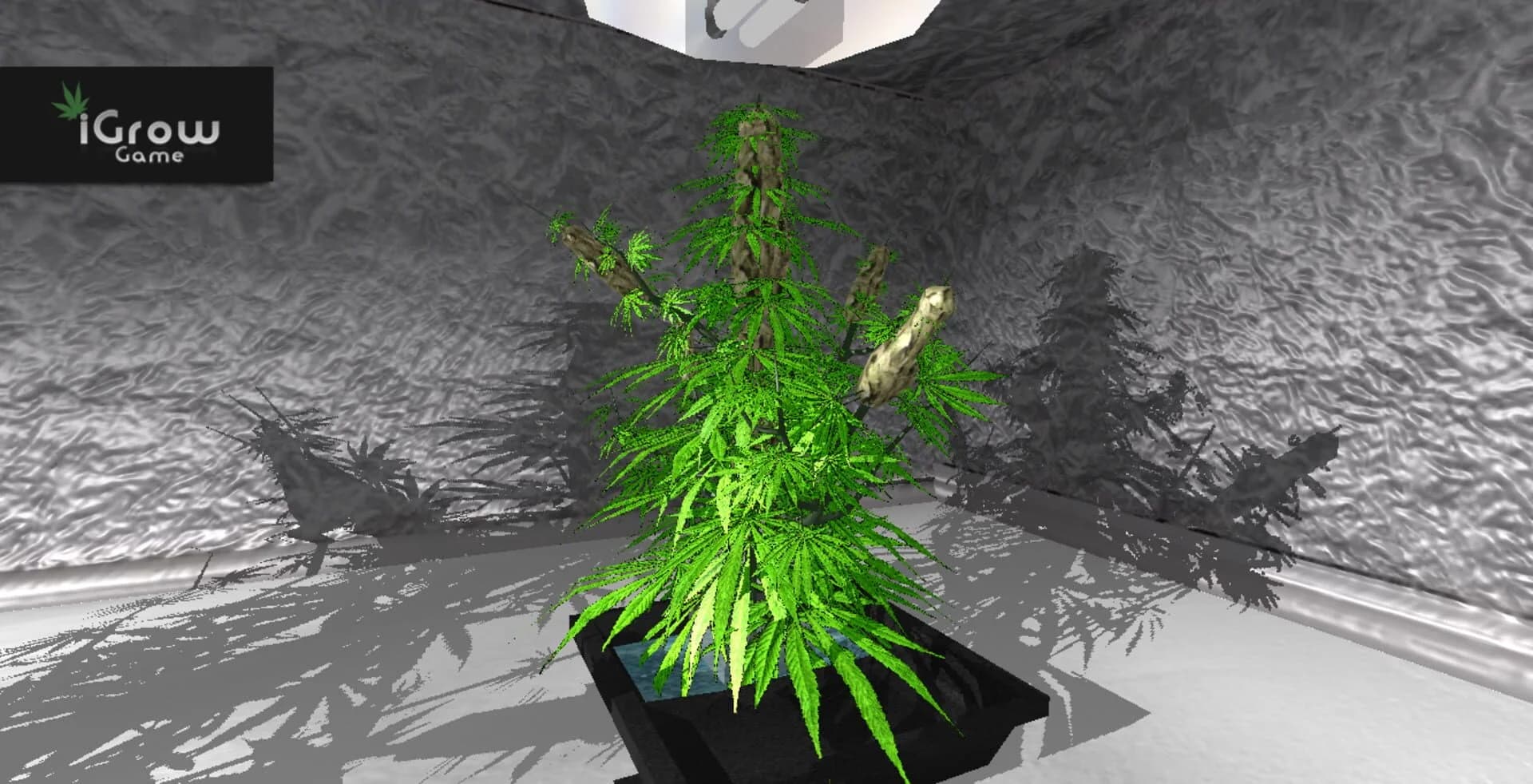 iGrow Game screenshot 3