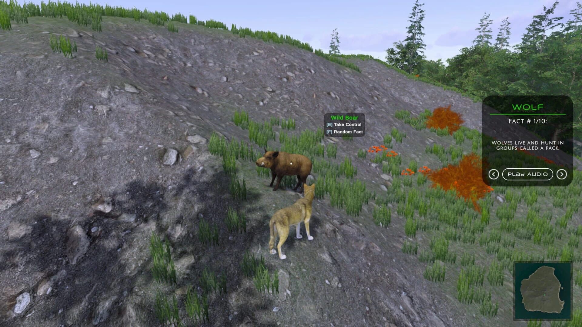 In the Wild screenshot 1