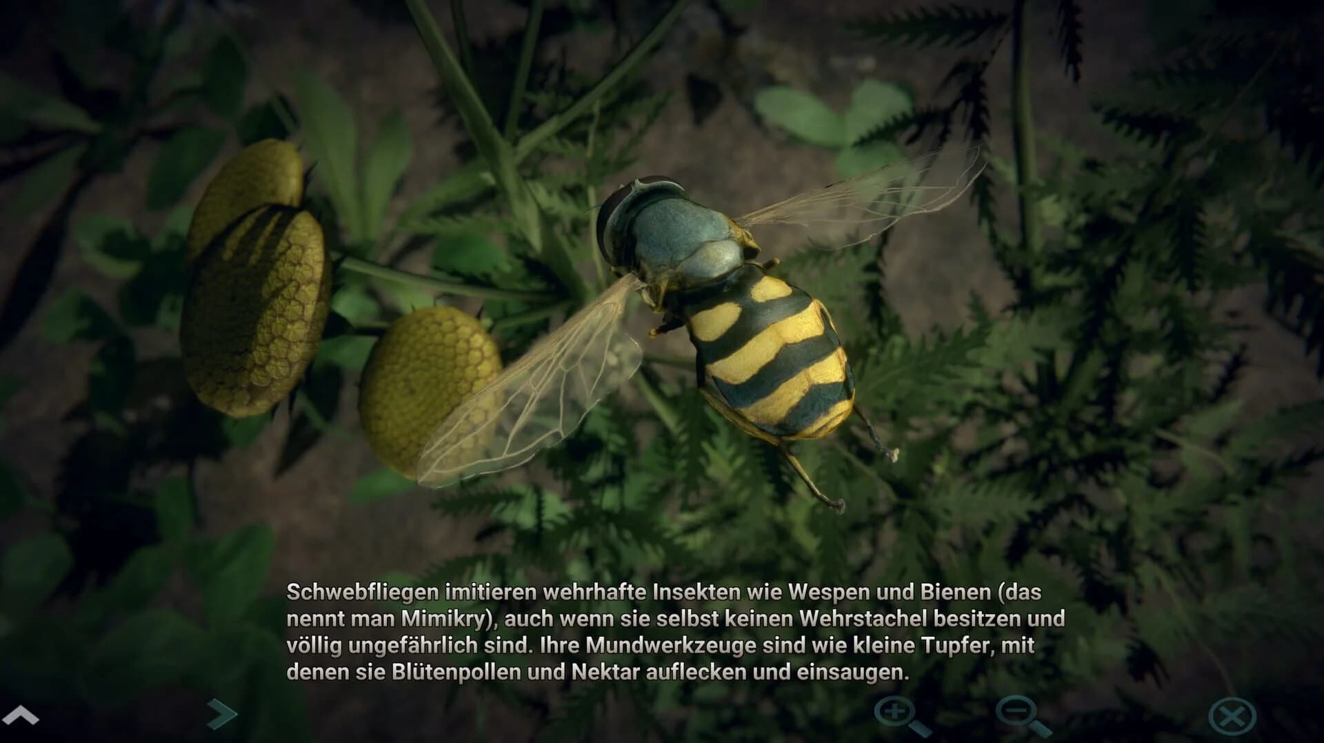 Insect Worlds screenshot 5