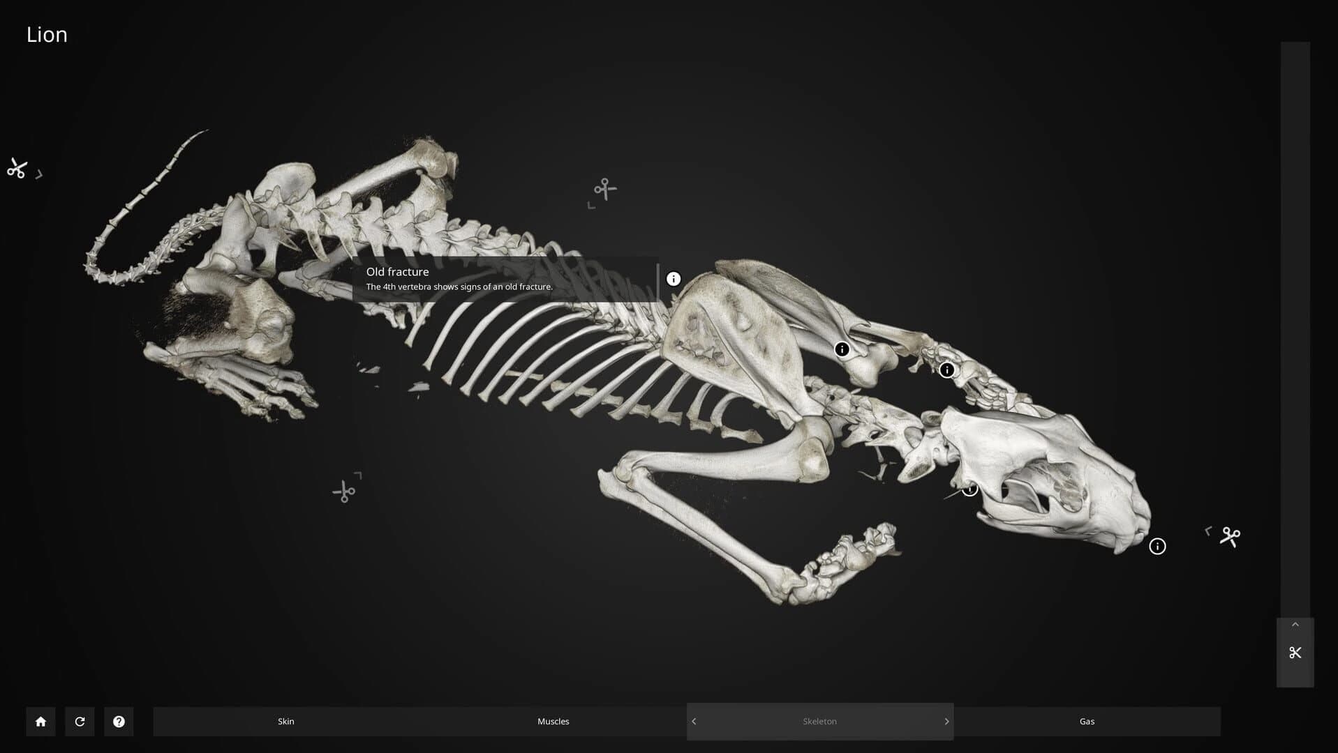 Inside Explorer screenshot 2