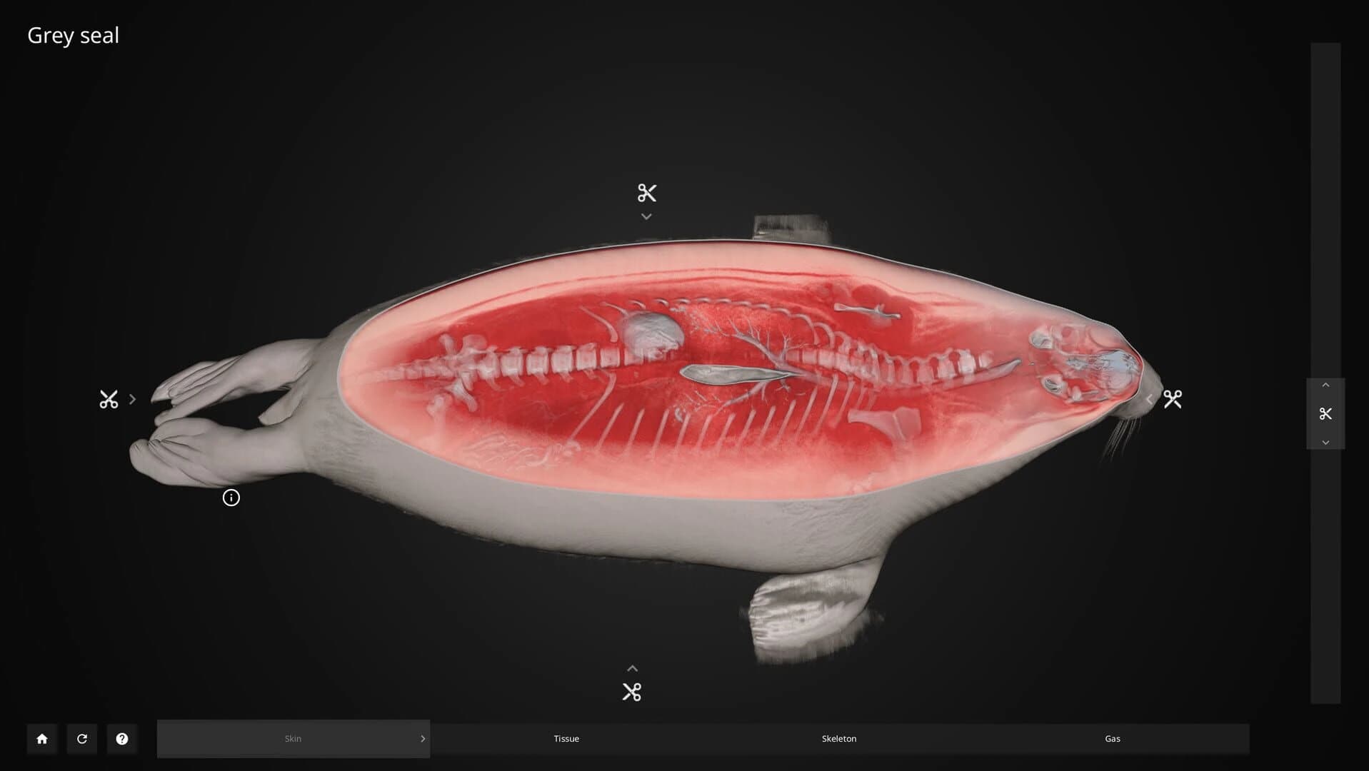 Inside Explorer screenshot 1
