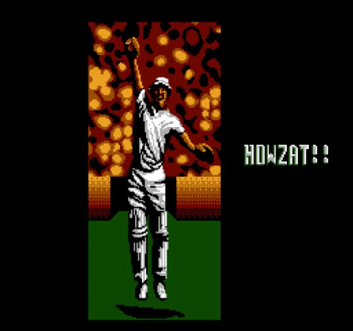 International Cricket screenshot 2