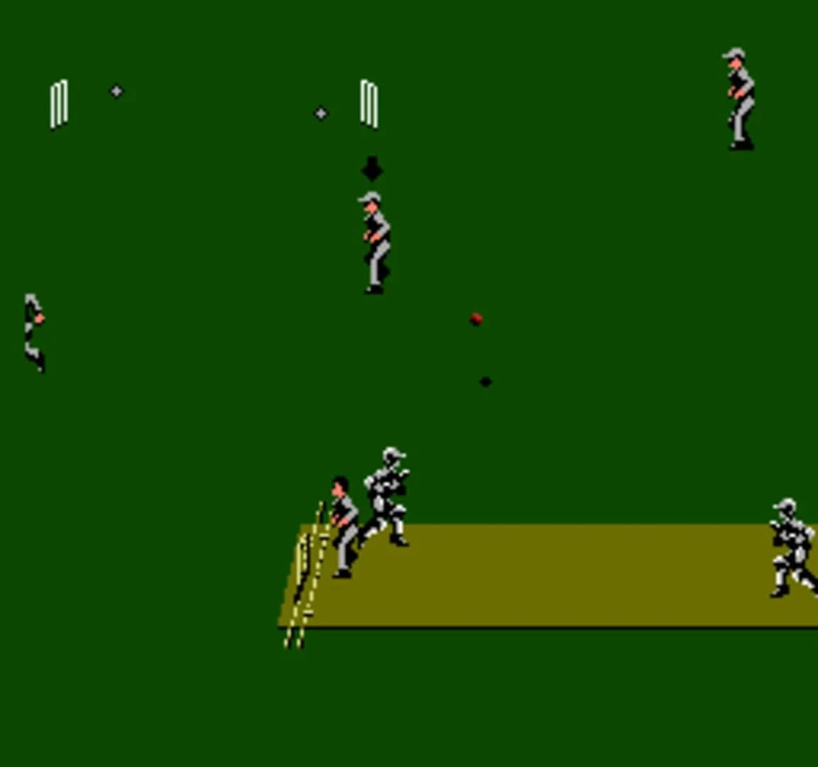 International Cricket screenshot 3