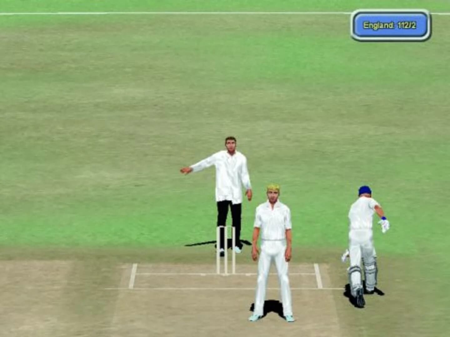 International Cricket Captain 2008 screenshot 1