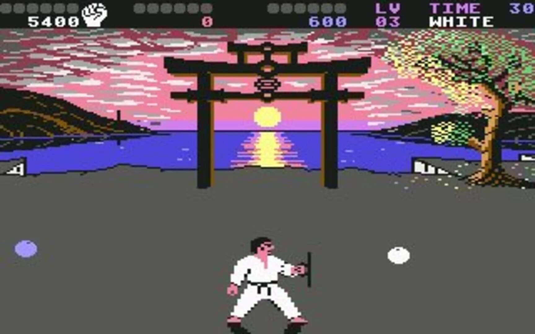 International Karate + screenshot 3
