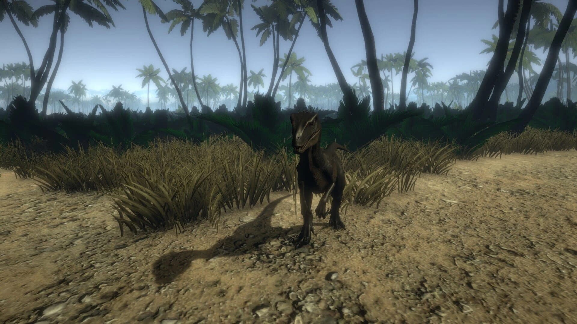 Island 1979 screenshot 3
