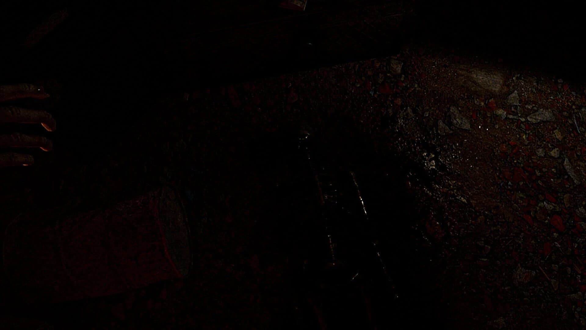 Island of Sacrifice screenshot 5