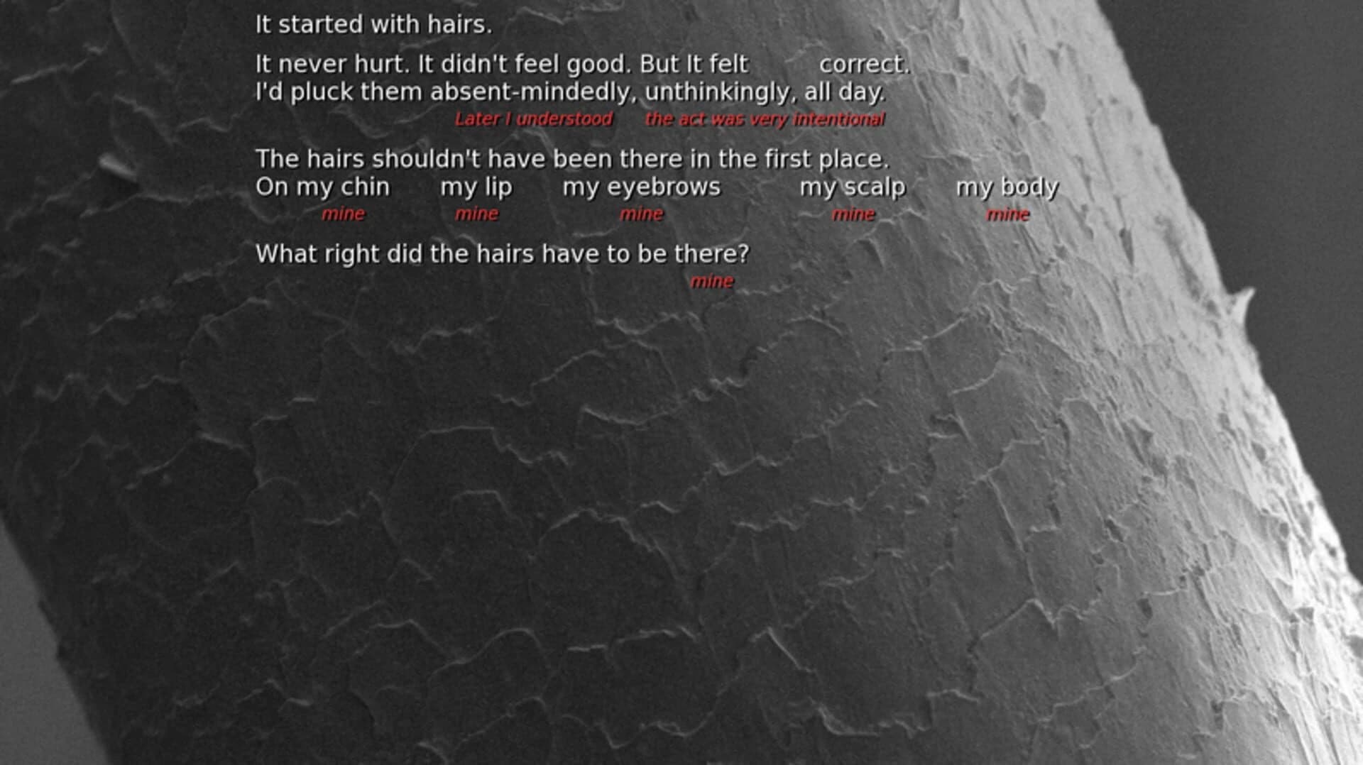 It Started With Hairs screenshot 1