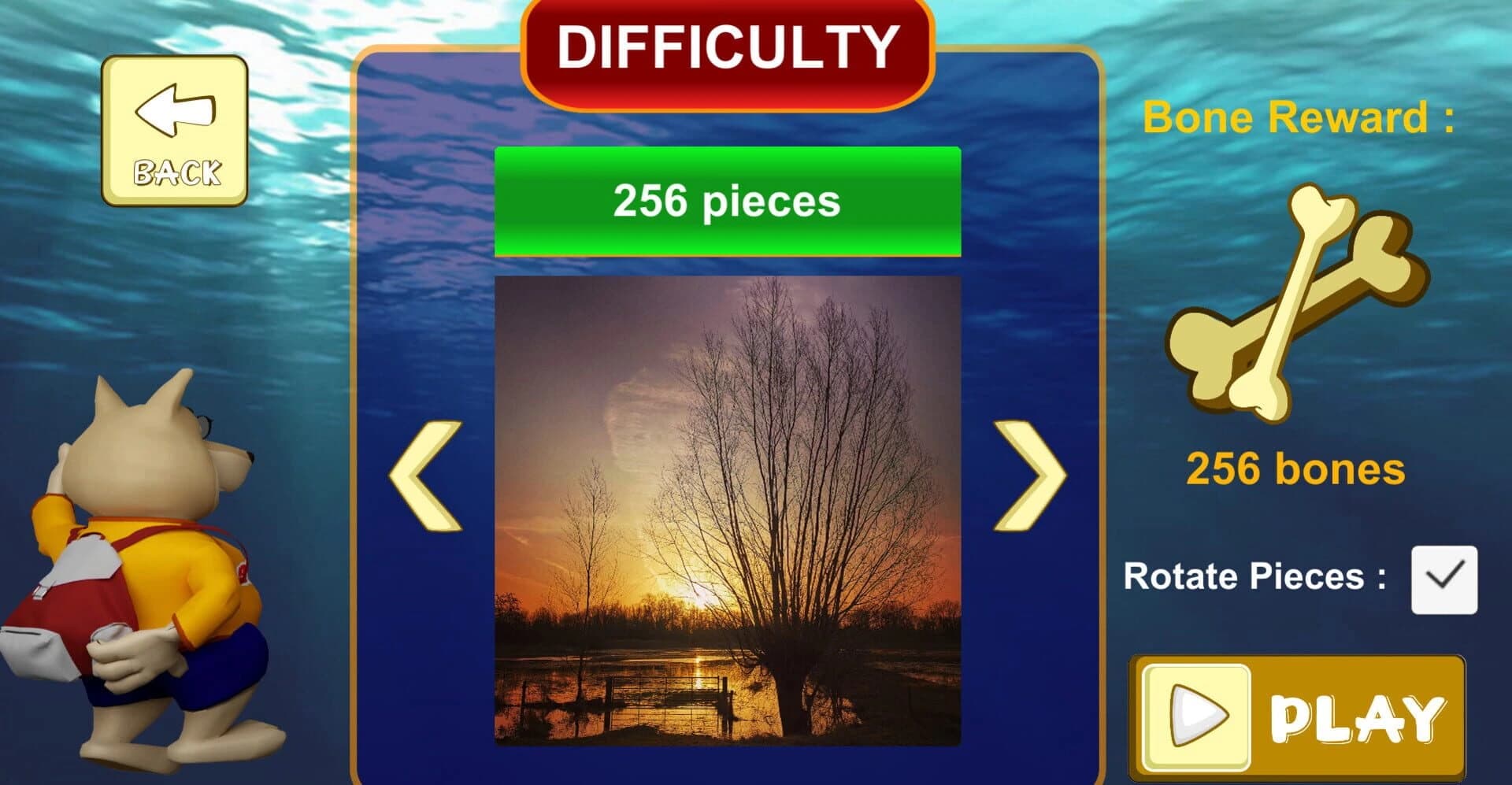Jigsaw Puzzle: Belgium Through the Lens screenshot 5