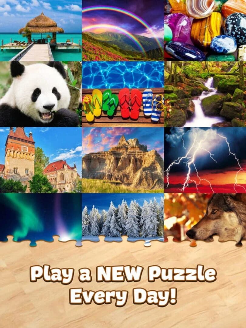Jigsaw Puzzle Pro screenshot 4