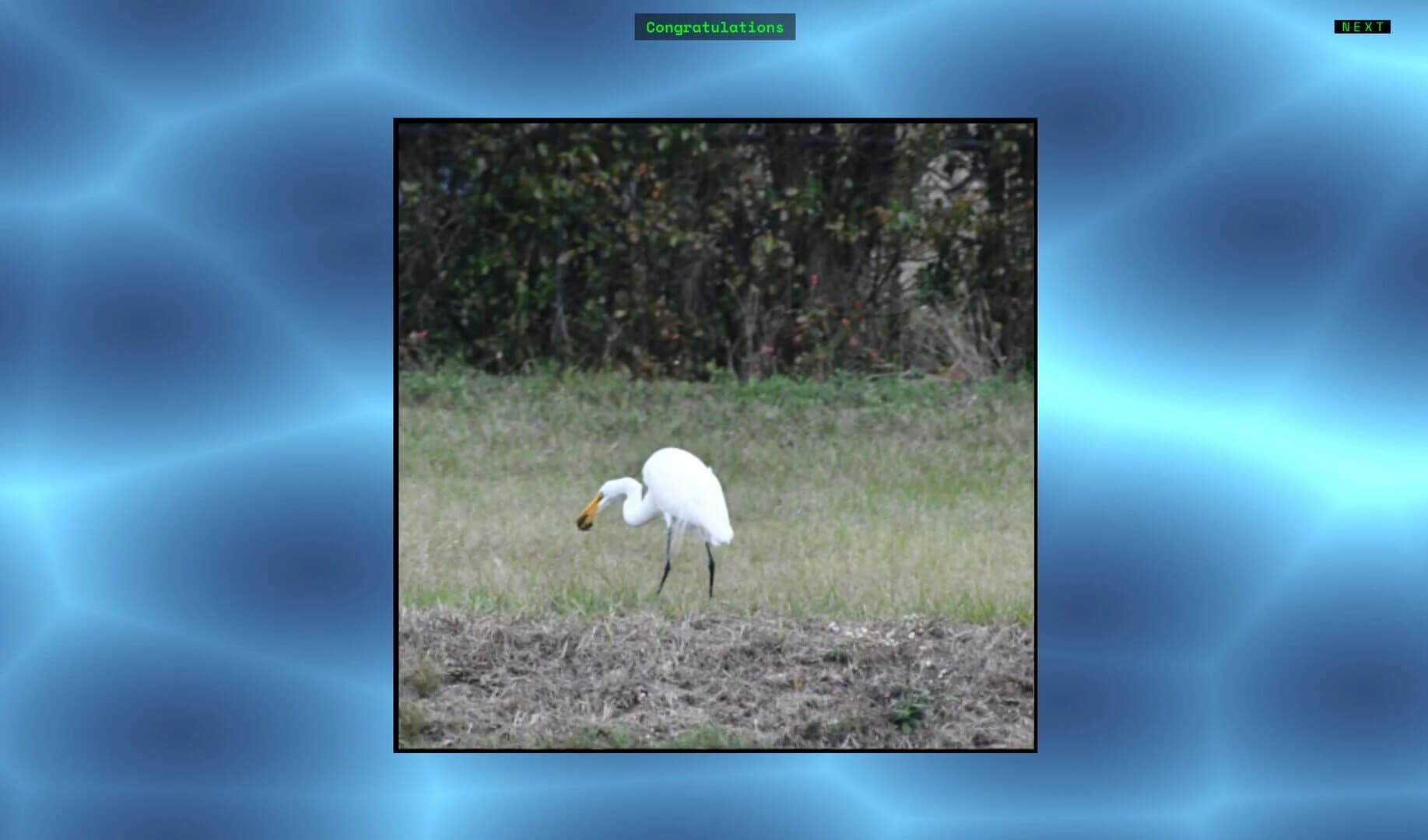 Jon's Jigsaw Puzzle screenshot 1