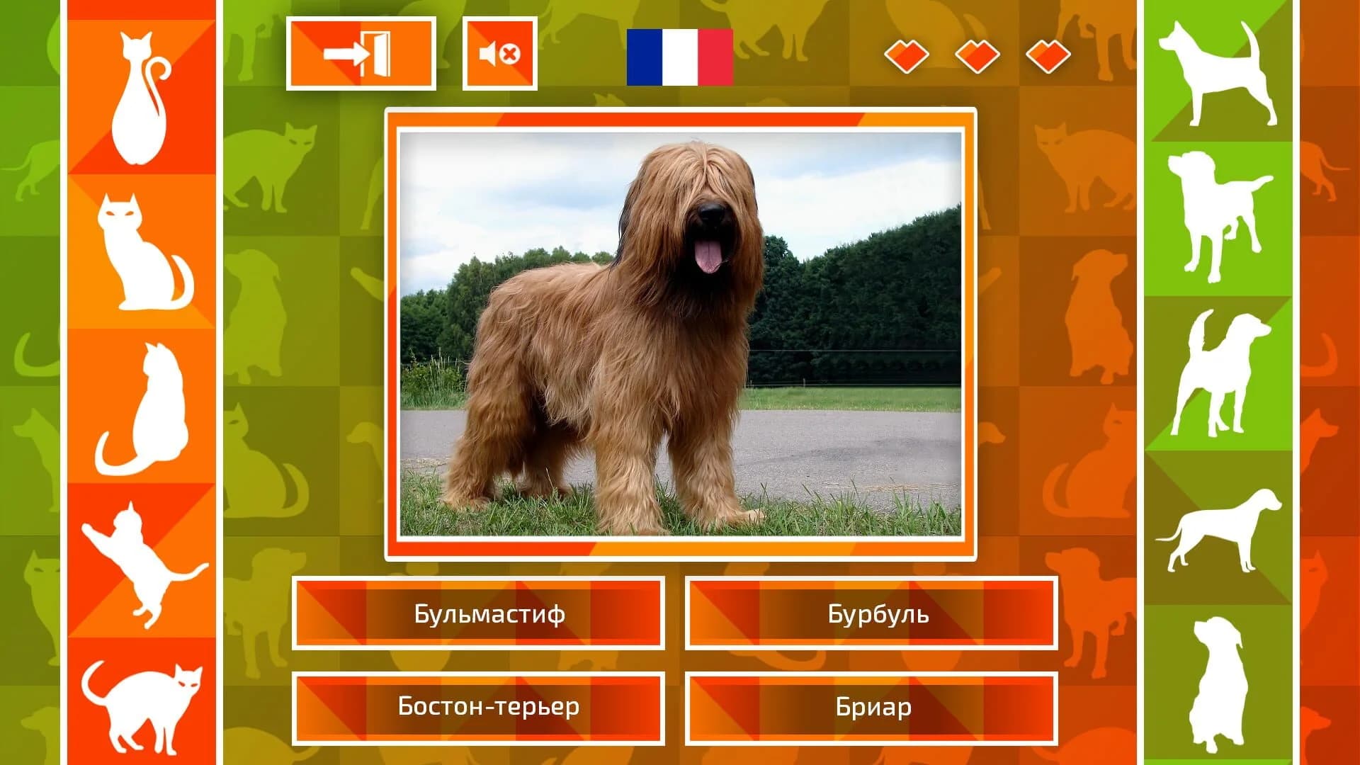 JQ: dogs & cats screenshot 3