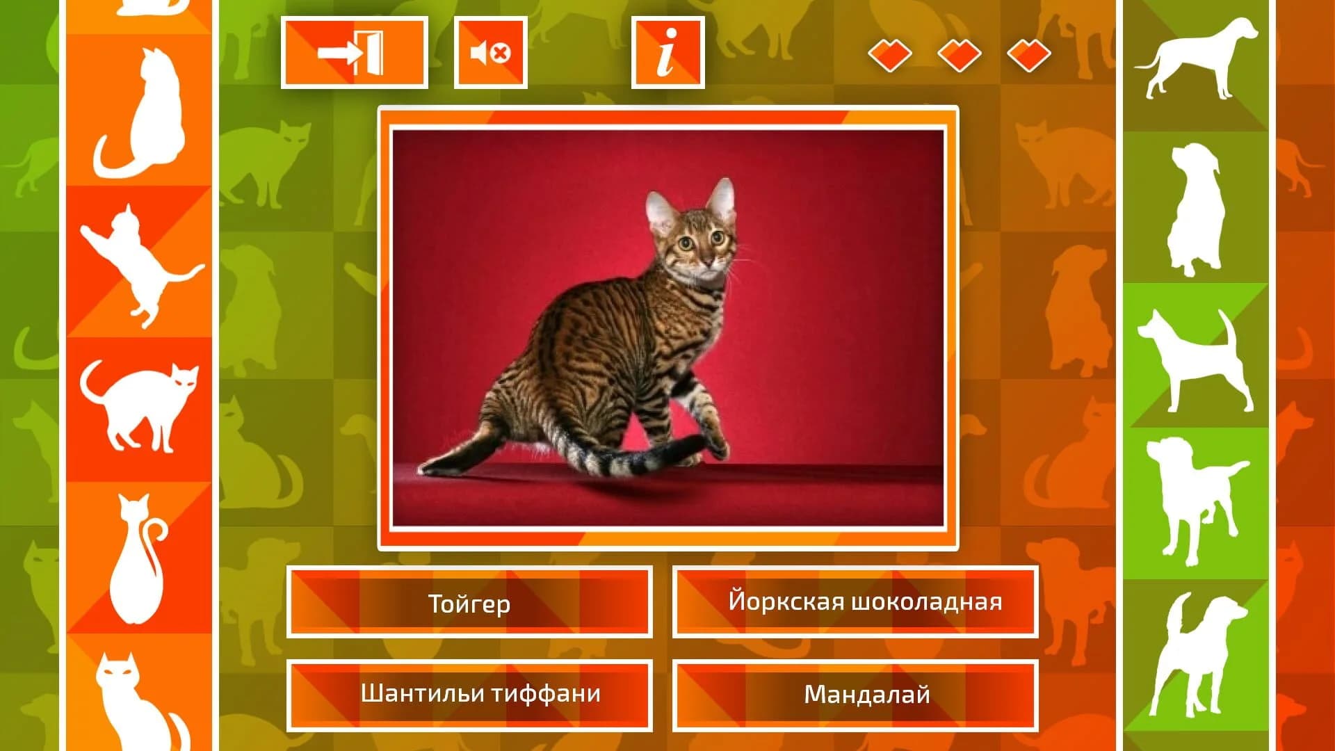 JQ: dogs & cats screenshot 2