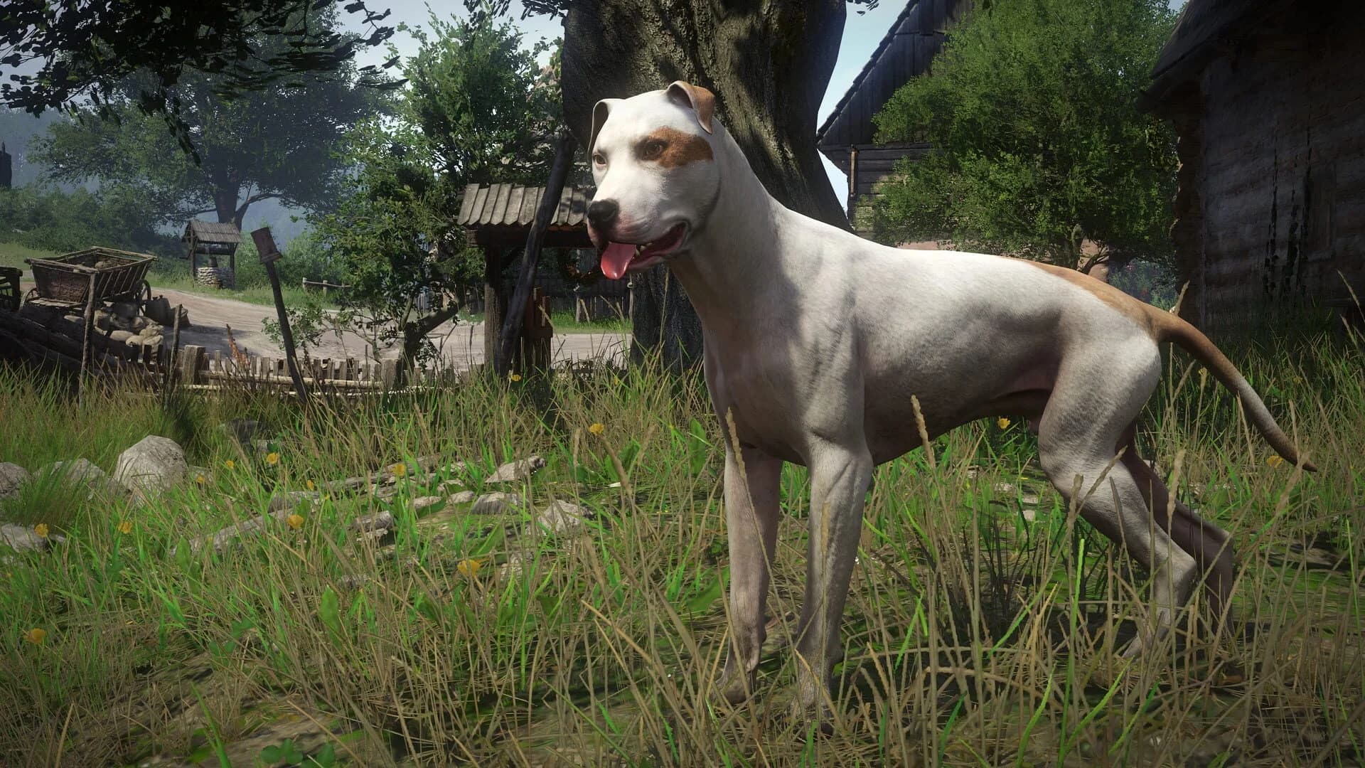 Kingdom Come: Deliverance - A Woman's Lot screenshot 4