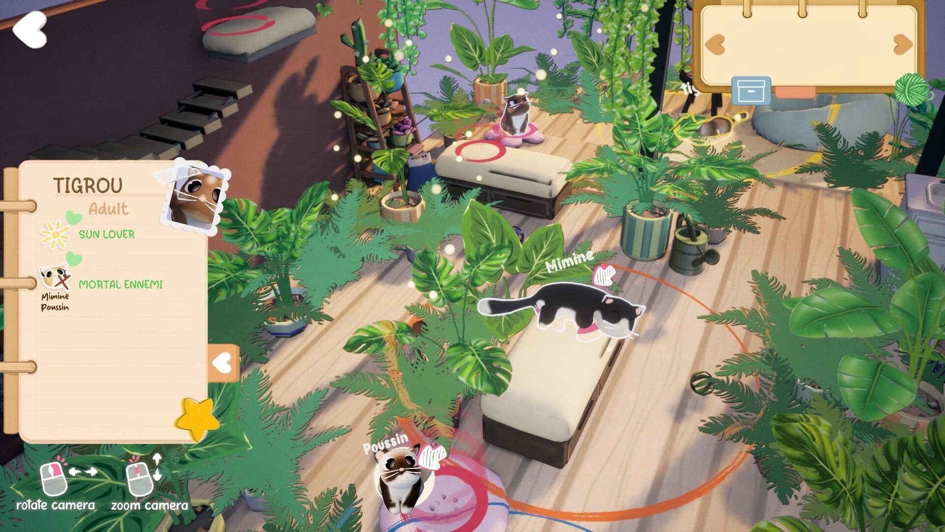 Kitty Haven screenshot 3