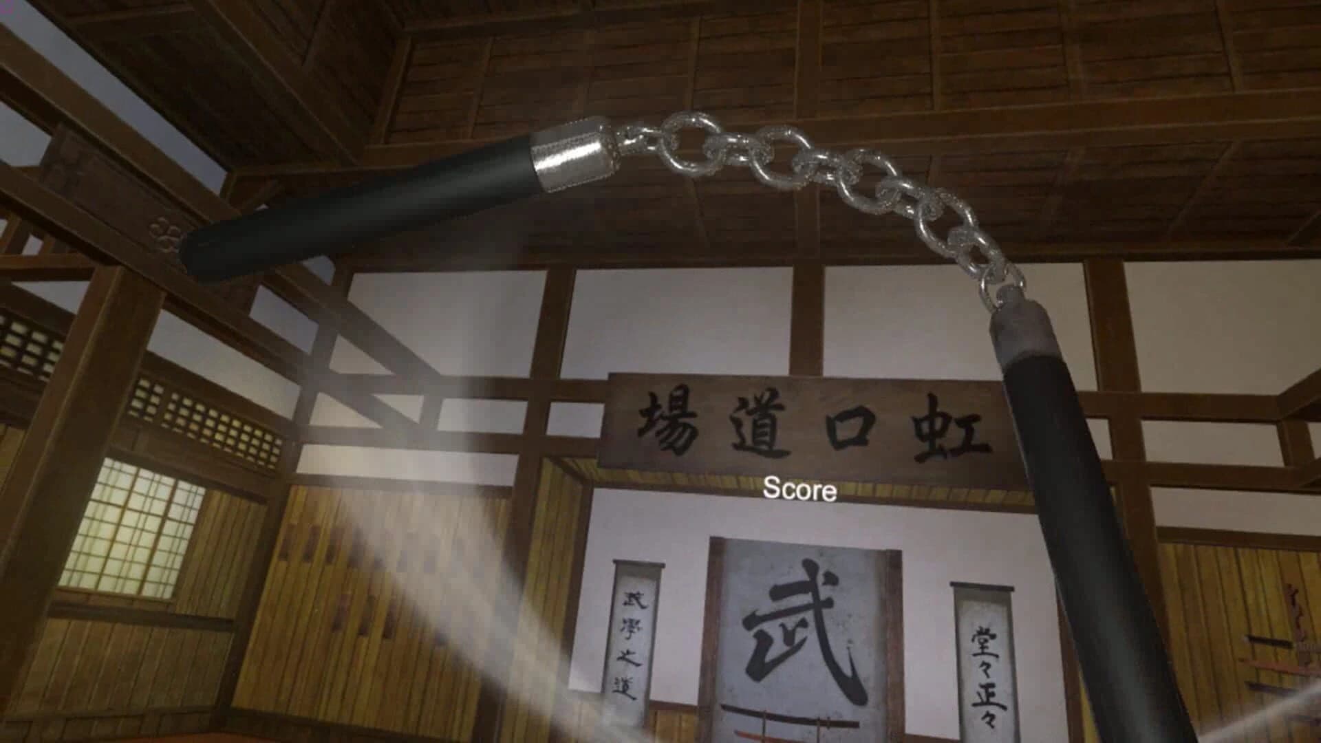 Kung Fu All-Star VR screenshot 4